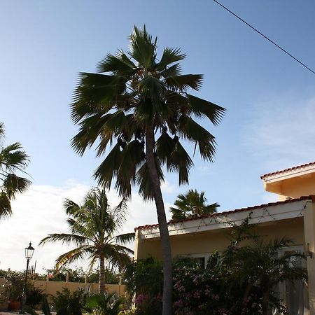 Готель Hidden Garden Aruba Babijn Екстер'єр фото