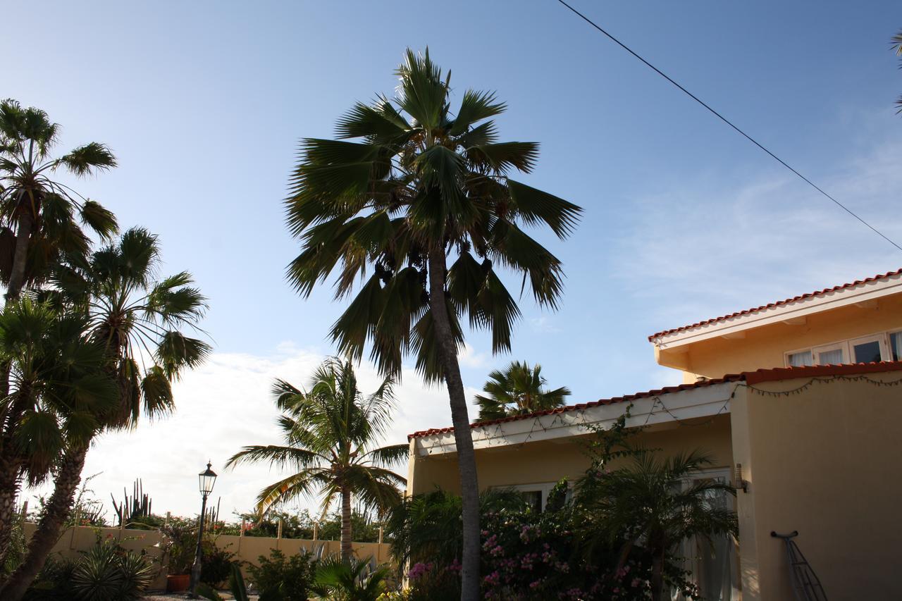 Готель Hidden Garden Aruba Babijn Екстер'єр фото