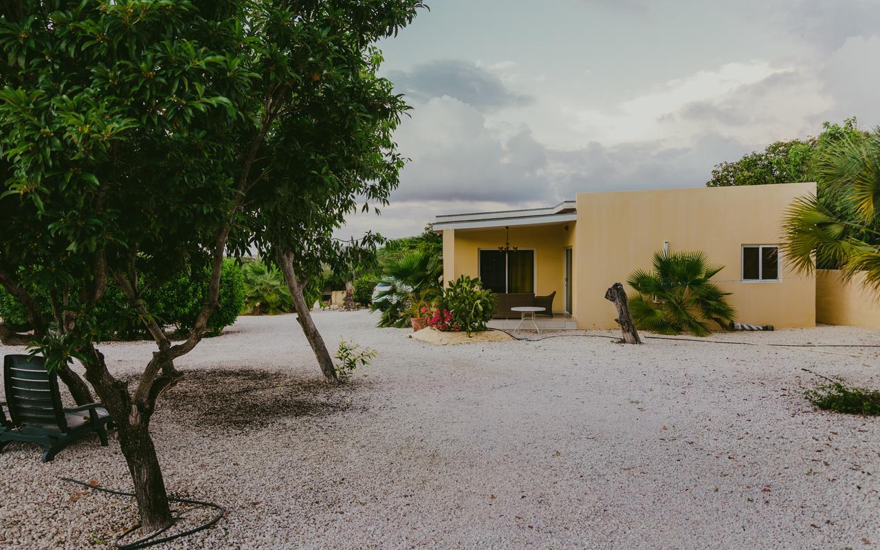 Готель Hidden Garden Aruba Babijn Номер фото