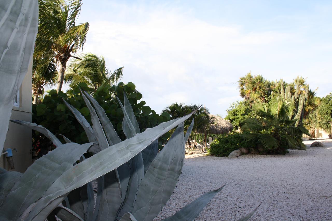 Готель Hidden Garden Aruba Babijn Номер фото